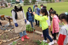 학교앨범<소식마당<가천초등학교 가천초등학교