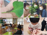 계화교육소식<알림마당<계화초등학교 계화초등학교