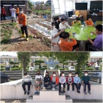 교과활동<백련앨범<백련초등학교 백련초등학교