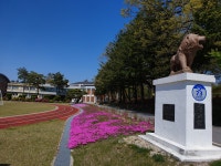 들꽃사랑<운봉한마당<운봉중학교 운봉중학교