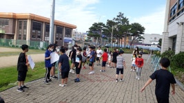 소나무<우리들마당<부안초등학교 부안초등학교