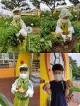유치원 월락유치원