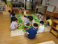 유치원 간중초병설유치원