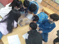 활동모습<해님반<늘봄교실<늘봄학교<이리북초등학교 이리북초등학교