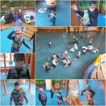 교과활동<백련앨범<백련초등학교 백련초등학교