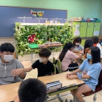 학교앨범