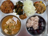 급식앨범<식생활관<학교소식<동향초등학교 동향초등학교