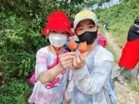 학교앨범