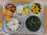 급식앨범<식생활관<알림마당<나포초등학교 나포초등학교