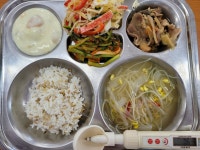 급식앨범<급식<학교소식<성송초등학교 성송초등학교