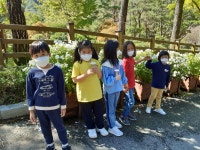 학교앨범