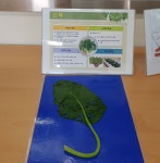 급식사진<식생활관<알림방<오산남초등학교 오산남초등학교