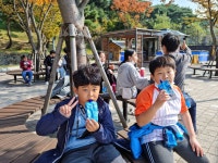 학교앨범<학교소식<웅포초등학교 웅포초등학교