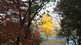 학교앨범<교육활동<전북동화중학교 전북동화중학교