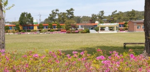 학교전경<학교앨범<학교소식<술산초등학교 술산초등학교