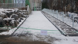 공지사항<알림마당<군산월명초등학교 군산월명초등학교