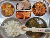 급식앨범<급식<학교소식<성송초등학교 성송초등학교