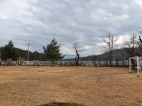 공지사항<알림마당<남원왕치초등학교 남원왕치초등학교