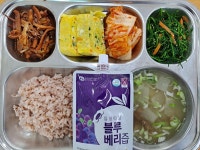 일일 식단 앨범