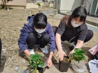 계화교육소식<알림마당<계화초등학교 계화초등학교