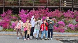 학교주제별앨범<학교소식<사매초등학교 사매초등학교