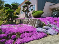 학교앨범<학교소식<백산중학교 백산중학교