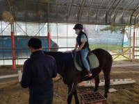 학교앨범<학교소식<용남초등학교 용남초등학교