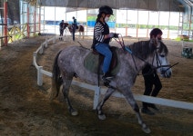 학교앨범<학교소식<용남초등학교 용남초등학교