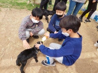 푸른꿈앨범