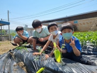 행사사진<학교소식<대리초등학교 대리초등학교