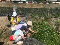 학교소식<학교소식<열린마당<오천초등학교 오천초등학교