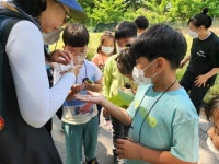 학교주제별앨범<학교소식<사매초등학교 사매초등학교