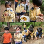 유치원 하늘반