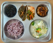 급식앨범<식생활관<학교소식<팔덕초등학교 팔덕초등학교