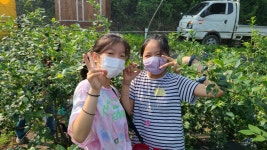 학교앨범<학교소식<웅포초등학교 웅포초등학교