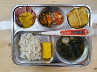 급식안내/급식앨범<급·간식 안내<알림 마당<남원참사랑유치원 남원참사랑유치원