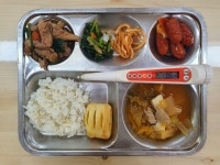 급식안내/급식앨범