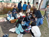 소나무<우리들마당<부안초등학교 부안초등학교