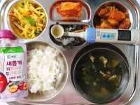 급식앨범<식생활관<학교소식<동진초등학교 동진초등학교