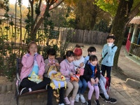 학교앨범<학교소식<성수초등학교 성수초등학교