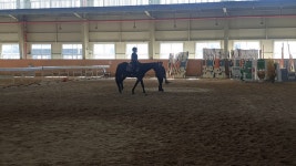 학교앨범<학교소식<번암초등학교동화분교장 번암초등학교동화분교장