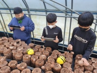 학교앨범<학교소식<번암초등학교동화분교장 번암초등학교동화분교장