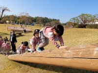행사앨범<유치원<전주화정초등학교 전주화정초등학교