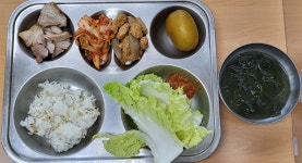 급식앨범<식생활관<학교소식<나포중학교 나포중학교