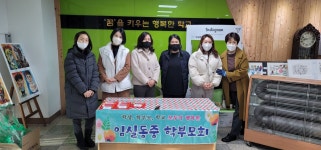 학교앨범<학교소식<임실동중학교 임실동중학교