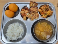 급식앨범<식생활관<학교소식<나포중학교 나포중학교