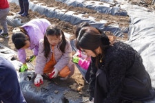 행사사진<학교소식<대리초등학교 대리초등학교
