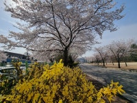 학교시설 및 전경<학교소개<전북대학교사범대학부설고등학교 전북대학교사범대학부설고등학교