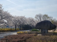 학교시설 및 전경<학교소개<전북대학교사범대학부설고등학교 전북대학교사범대학부설고등학교
