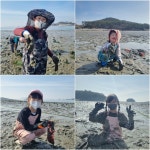 교과활동<백련앨범<백련초등학교 백련초등학교